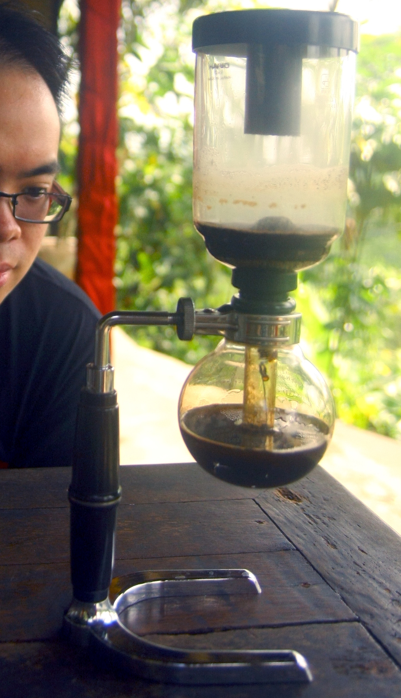 Pondering Kopi Luwak