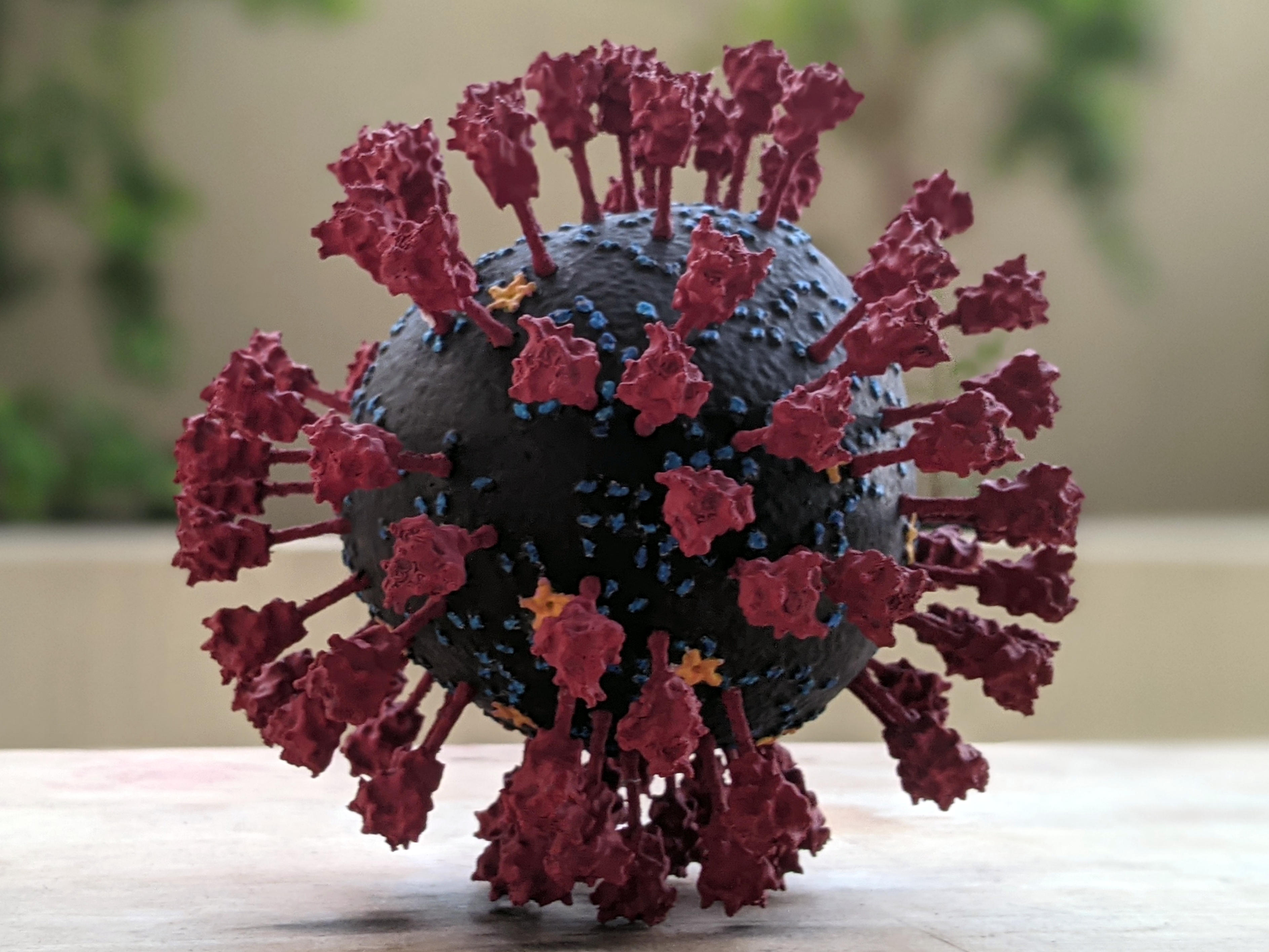 glamour shot of the coronavirus